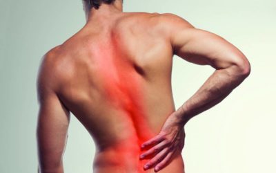 Why Does Pain Occur?